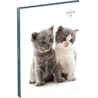 👉 Agenda active 2023 110x150 My Favourite Friends 7dagen/2pagina's 2 kittens 5410574535153