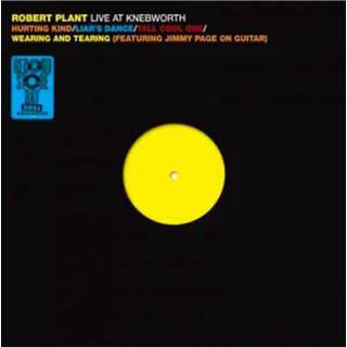 👉 Nederlands Robert Plant - Live At Knebworth (Record Store Day 2021) LP 602435565538