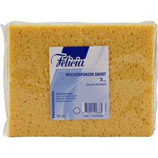 👉 Spons viscose groot active Felicia 2 stuks 8710401248384