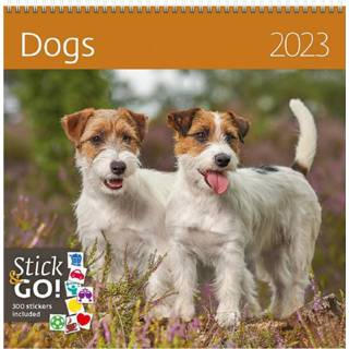 👉 Kalender active 2023 Helma 365 30x30cm Honden 8595230694034