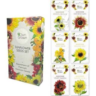 👉 Zonnebloem active OwnGrown Zonneblomenenzaden set 6 verschillende soorten zonnebloemen Voor binnen, tuin en balkon Eco-vriendelijke verpakking 4260397363232