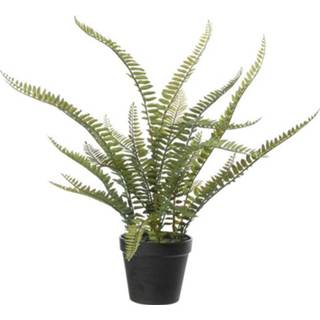 👉 Kunstplant groen active Varen Nephrolepis - 50 cm