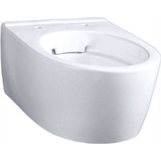 👉 Wandcloset wit Geberit Icon Compact Randloos 49 CM 4022009334951