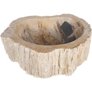 Waskom hout Differnz Fossil 8712793575208