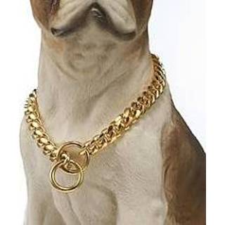 👉 Halsband staal titanium goud 10mm kleine en middelgrote hond ketting roestvrij cubaanse kat miniinthebox