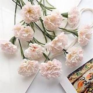 👉 Anjer 10 stks imitatie bloem anjers bruidsboeket bruiloft decoratie valentijnsdag cadeau miniinthebox