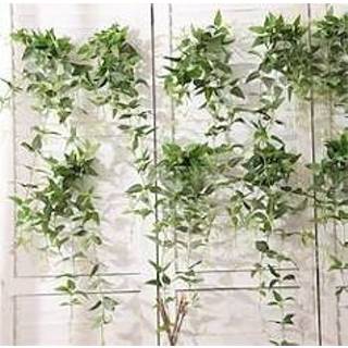 👉 Groene IJzer 2 stks bruiloft layout simulatie bloem lotus bladeren woondecoratie zachte installatie planten rotan 80 cm miniinthebox