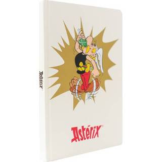 👉 Notitieboek A5 Asterix 8435497273484