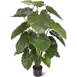 👉 Kunstplant groen kunststof DesignPlants: Alocasia Calidora 115cm - 8720039970397