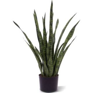 👉 Kunstplant groen kunststof XL DesignPlants: Sansevieria 100cm - 8718719442449