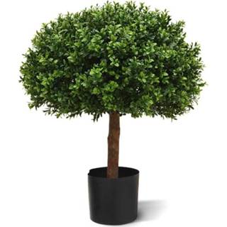 👉 Kunstplant groen kunststof DesignPlants: Buxus Halfbol Deluxe 60cm - 8718719445822