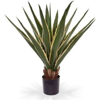 👉 Kunstplant groen kunststof DesignPlants: Furcraea Agave 80cm - 8718719449219