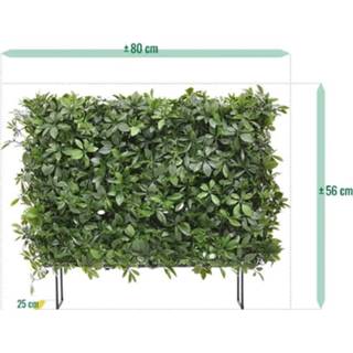 👉 Groen kunststof DesignPlants: Schefflera Kunstheg 80x25x56cm UV Bestendig - 8720039970267