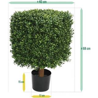 👉 Kunstplant groen kunststof DesignPlants: Buxus Vierkant 40cm UV Bestendig - 8720039973084