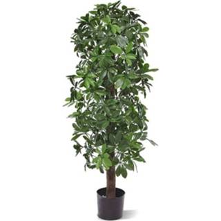 👉 Kunstplant groen kunststof DesignPlants: Schefflera Kolom 120cm UV Bestendig -