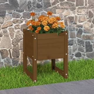 👉 Plantenbak grenenhout 40x40x52,5 cm massief honingbruin 8720287206101