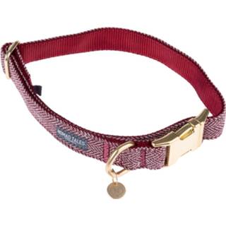 👉 Halsband s l Nomad Tales Calma Halsband, burgundy - Maat L: 37 61 cm Halsomvang, B 25 mm 4054651007822 4054651007846