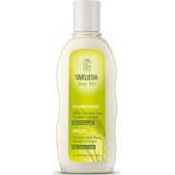 👉 Shampoo weleda Pluimgierst milde (Weleda) | 190ml 4001638095556