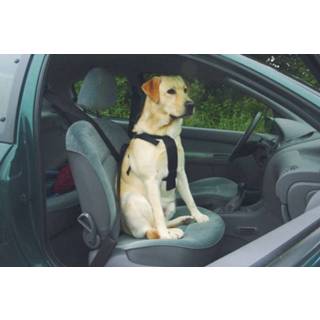 👉 Auto gordel XL Wandel- en autogordel hond