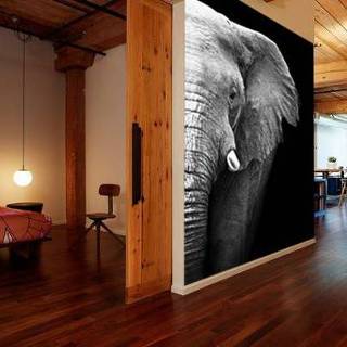 👉 Fotobehang vliesbehang exclusief lijm Vlies Olifant Close-up