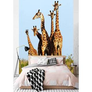 👉 Fotobehang vliesbehang exclusief lijm Vlies Giraffenfamilie