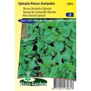 👉 Spinazie Nieuw Zeelandse - 3065