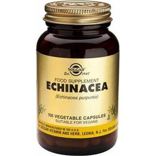 👉 Echinacea