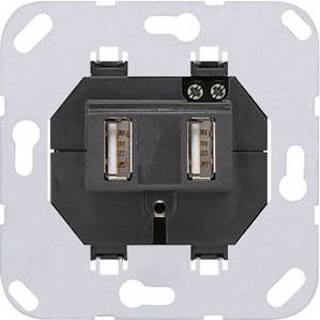 👉 Stopcontact Jung USB inbouw 2 voudig (521-2USB)