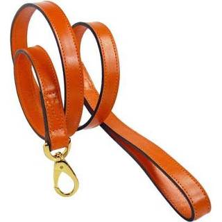 👉 Rose Hartman and Dog Leash plated fittings Tangerine