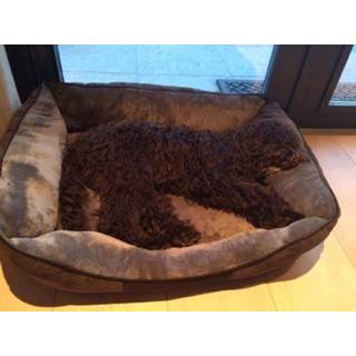 Scruffs Chester Dog Bed graphite Graphite Scruffs Chester Dog Bed