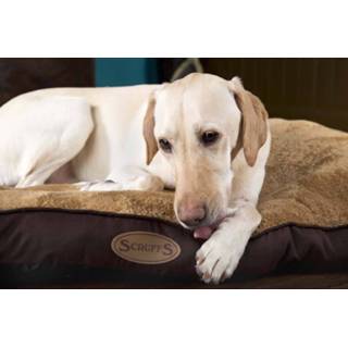 👉 Scruffs Dog Cushion Chester Chocolate