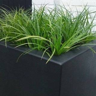 👉 Plantenbak polyester gewapend werpig zijdeglans zwartgrijs Buxus 120x50x60 cm