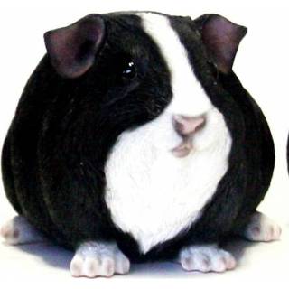 👉 Tuinbeeldje cavia zwart 23 cm