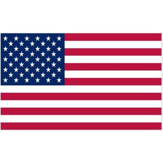👉 Vlag small Old US met 48 sterren