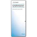 👉 Heel Lymphomyosot H Tabletten 8714725038928