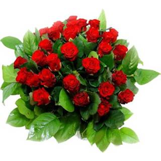 👉 Boeket rode rozen met bladmateriaal