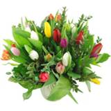 👉 Boeket gemengde tulpen