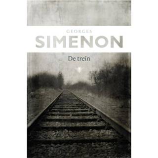 👉 Bezige Georges Simenon De trein 9789023495000