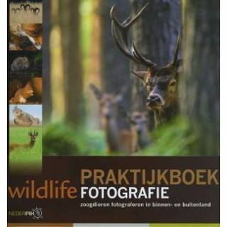 👉 Nederpix Praktijkboek Wildlife Fotografie