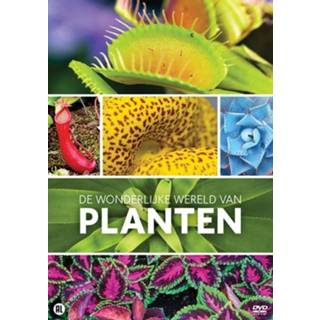 👉 De wonderlijke wereld van planten