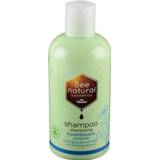 👉 Shampoo wit grijs De Traay Korenbloem 250ML wit/grijs 8713406560086
