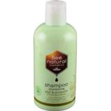 👉 Shampoo De Traay Olijf & Propolis 250ML droog 8713406560161