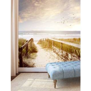 👉 Foto behang Vlies fotobehang Pad naar het strand Vintage