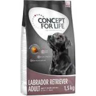 👉 Labrador retri ever Concept for Life 12 kg Retriever Adult Hondenvoer