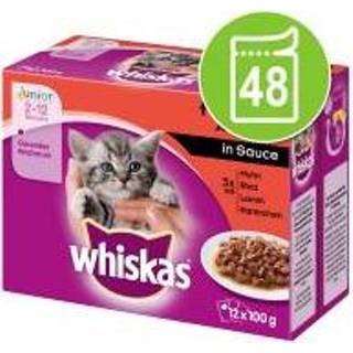 👉 Katten voer Megapack Whiskas Junior Maaltijdzakjes 48 x 100 g - Gemengd pakket