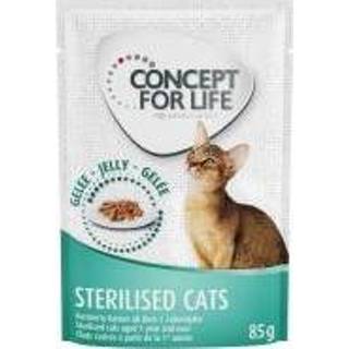 👉 Katten voer speciaalvoeding Concept for Life Sterilised Cats - in Gelei Kattenvoer 48 x 85 g