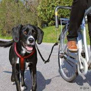👉 Fiets houder hondenfietslijn Trixie Biker-Set de Luxe - Fietshouder