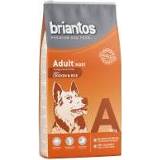 👉 Honden voer adult 14 kg Briantos maxi Hondenvoer