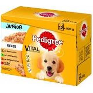 👉 Honden voer Pedigree Junior Maaltijdzakjes Multipak 12 x 100 g Hondenvoer - 48 in gelei