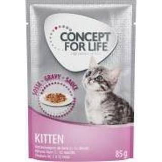 👉 Katten voer kitten Concept for Life - in Saus Kattenvoer 48 x 85 g